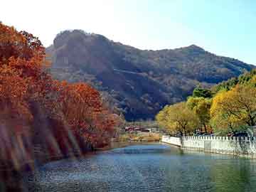 澳门二四六天天彩图库，夜神翼